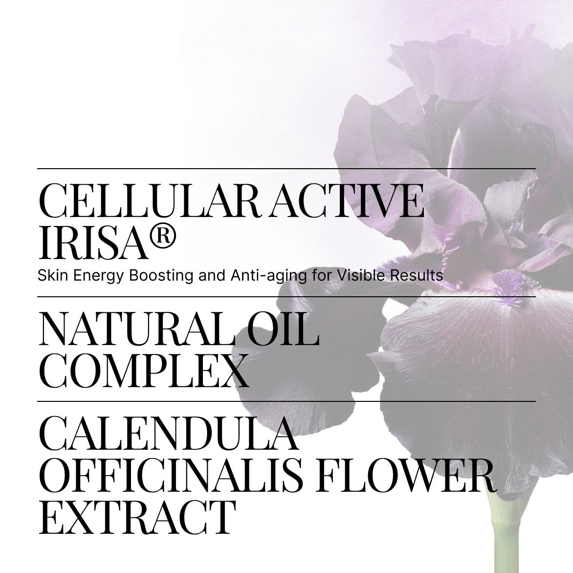 Cleansing Oil | SWISS PERFECTION