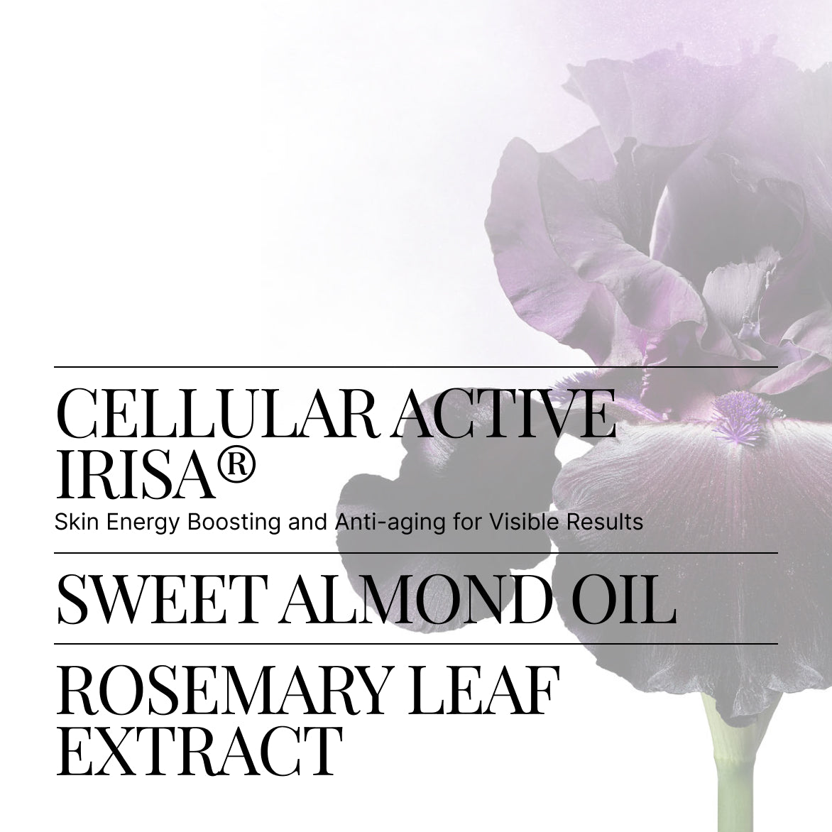 SWISS PERFECTION クレンジングエマルジョン クレンジングエマルジョン CELLULAR DEEP CLEANSING EMULSION