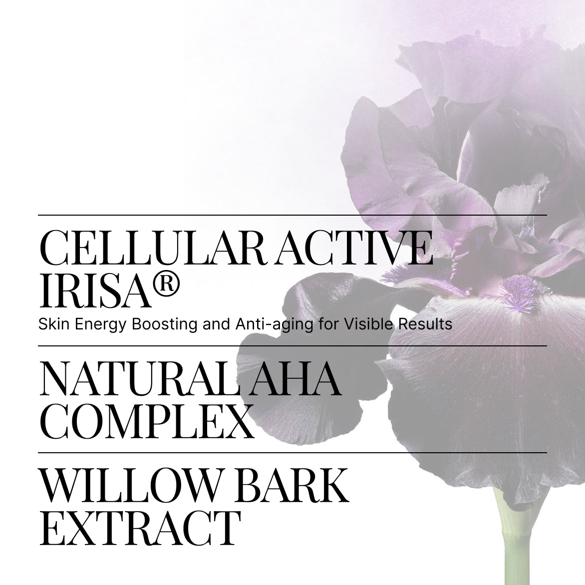 Exfoliating Solution | SWISS PERFECTION