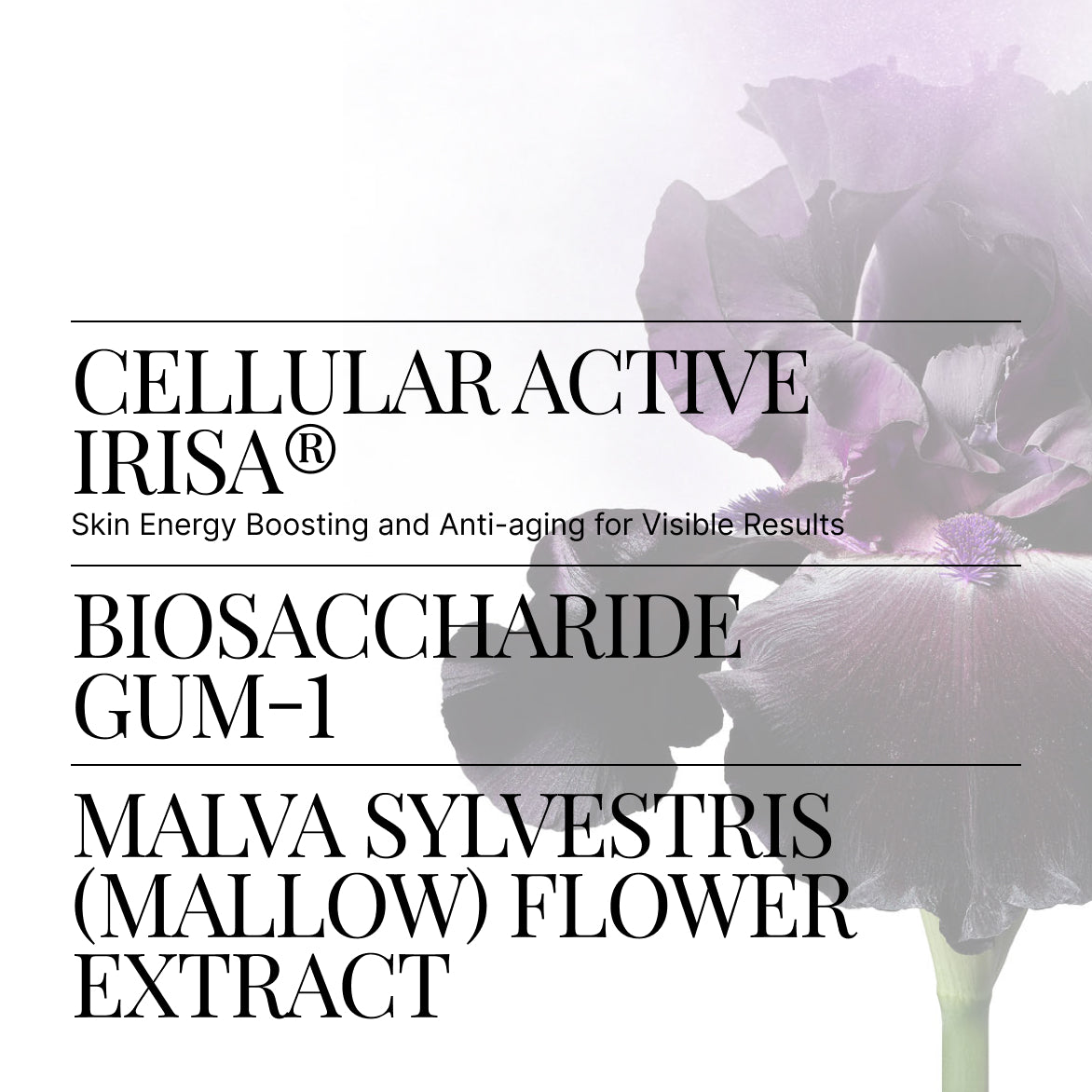 Nourishing Eye Cream | SWISS PERFECTION