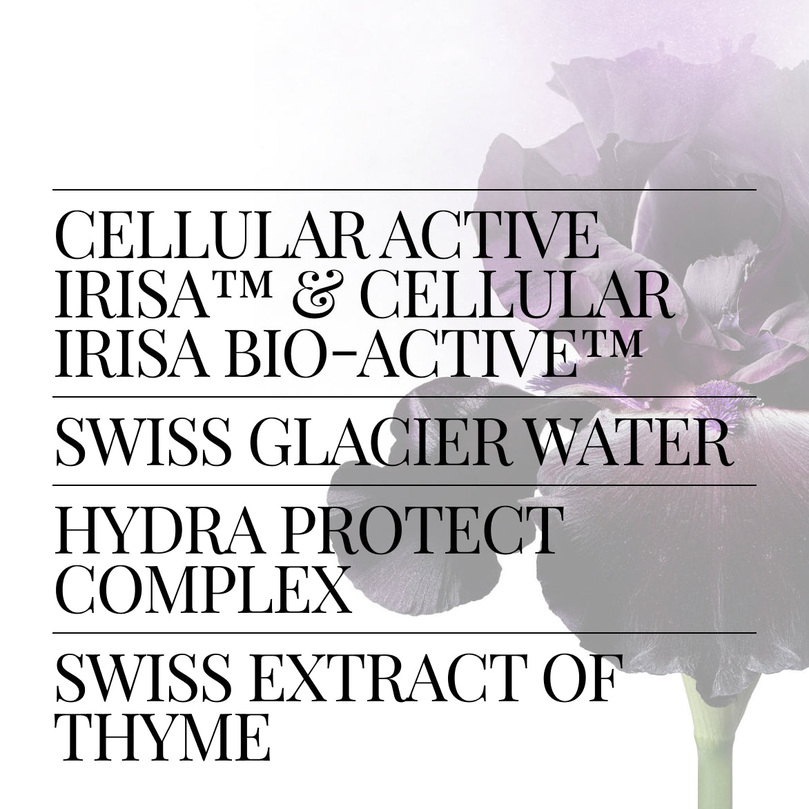 Vital The First Essence | SWISS PERFECTION