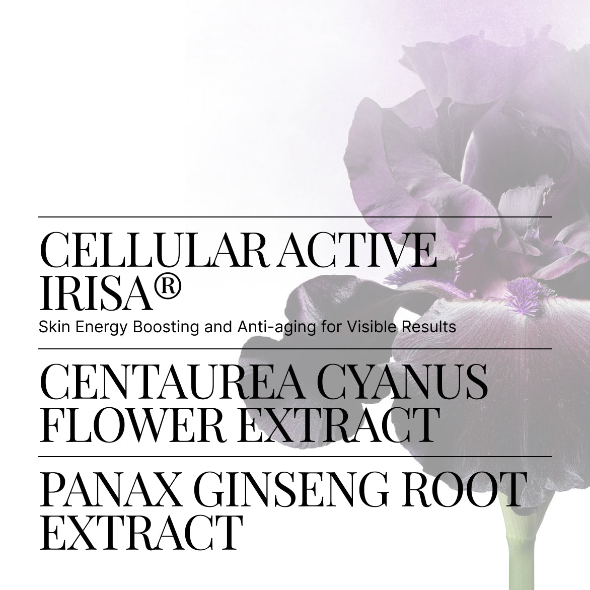 Regenerating Skin Cream | SWISS PERFECTION