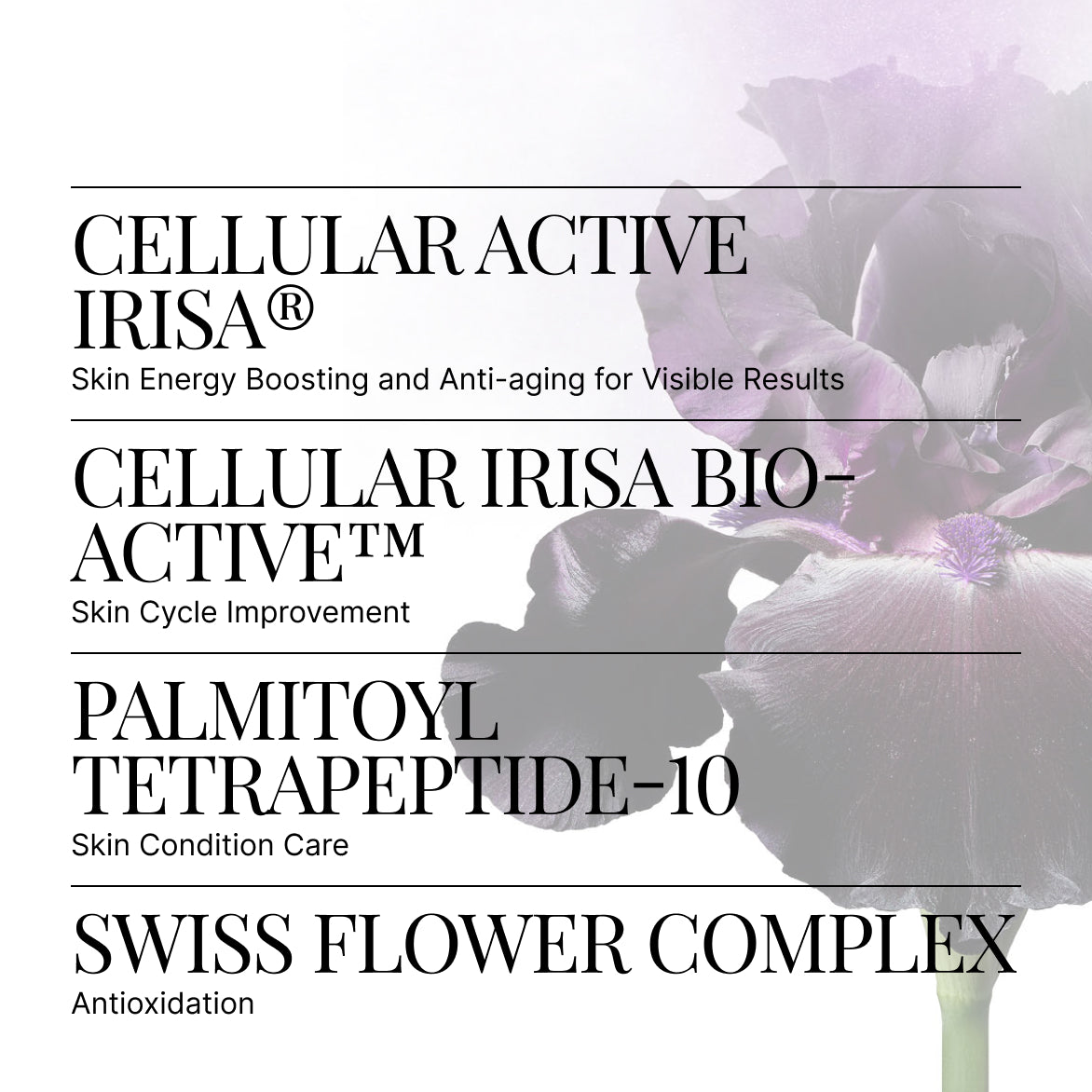 RS-28 Rejuvenation Cream | SWISS PERFECTION