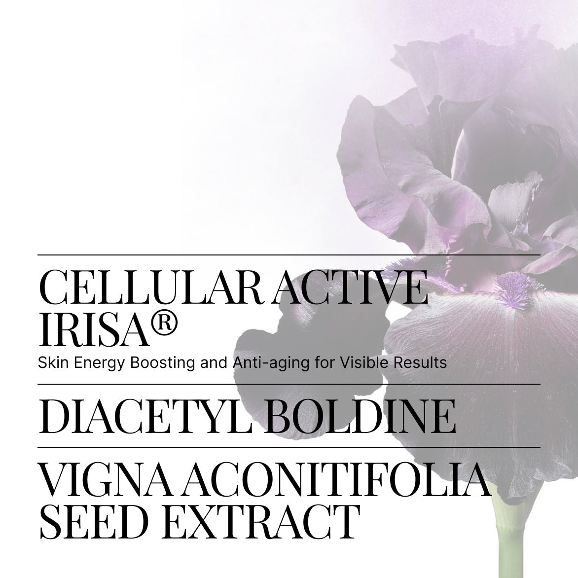 Vitalizing Hand Cream | SWISS PERFECTION